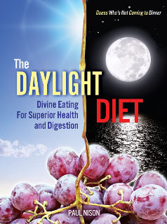 The Daylight Diet Logo