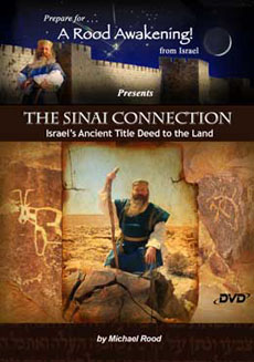 The Sinai Connection Picture