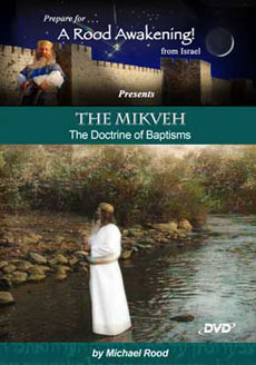 The Mikveh Picture