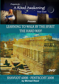 Walk by the Spirit Picture