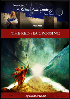The Red Sea Crossing Picture